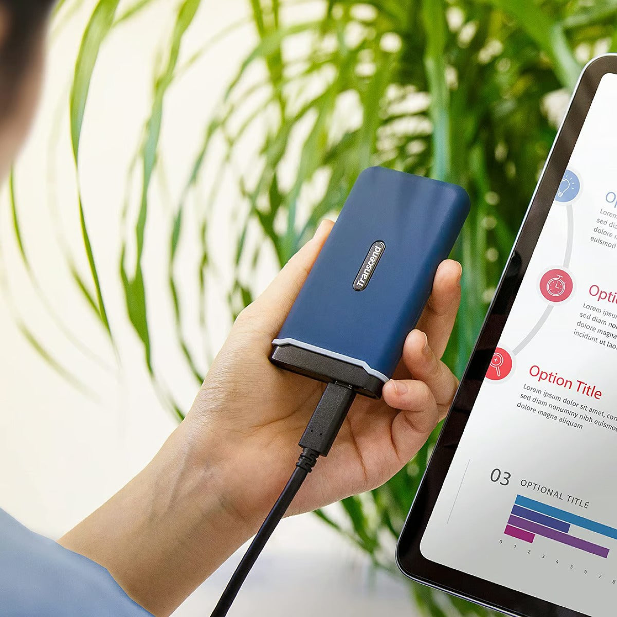 Transcend Portable SSD ESD370C 500GB