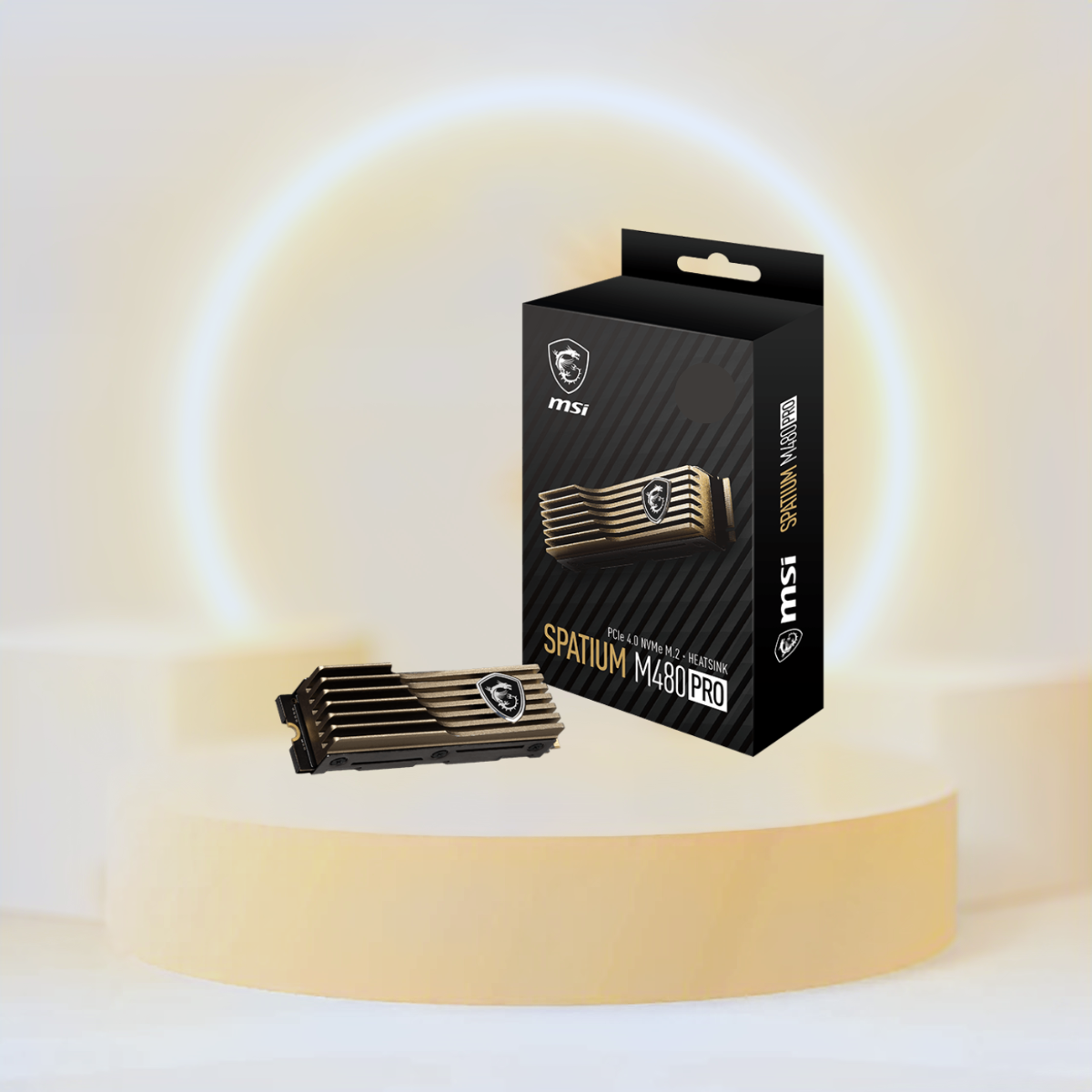 MSI Spatium M480 Pro PCIe 4.0 NVMe M.2 2 تيرابايت HS SSD