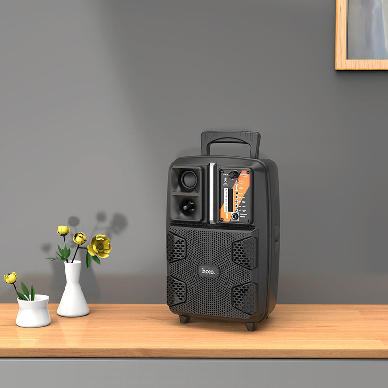 Wireless speaker “BS37 Dancer” outdoor loudspeaker