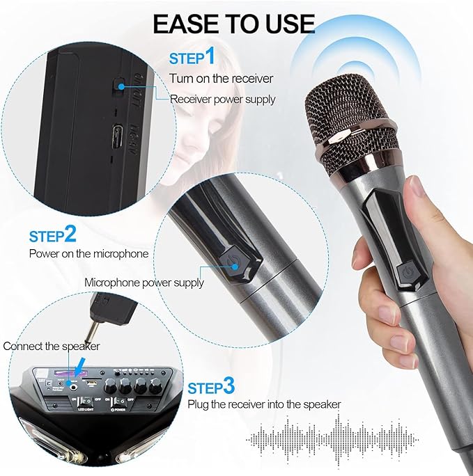Dual Wireless Microphone with Rechargeable Receiver