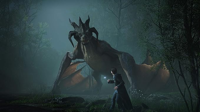 Hogwarts Legacy (PS5)