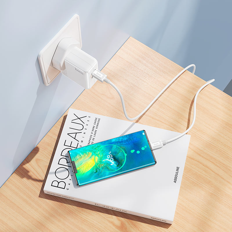 Wall charger “C110B Lucky” PD35W UK