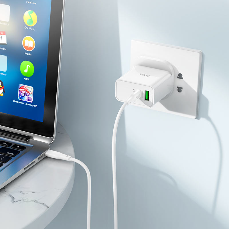 Wall charger “C113B Bravery” PD65W + QC3.0 UK