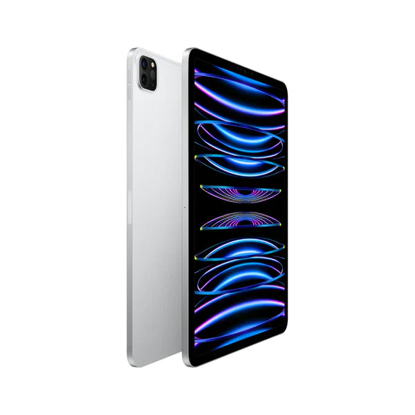 iPad Pro 11 inch Display 2022 with Apple M2 Chip