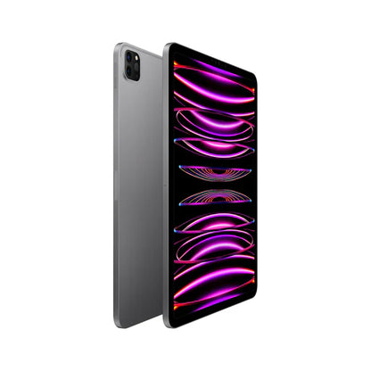 iPad Pro 11 inch Display 2022 with Apple M2 Chip